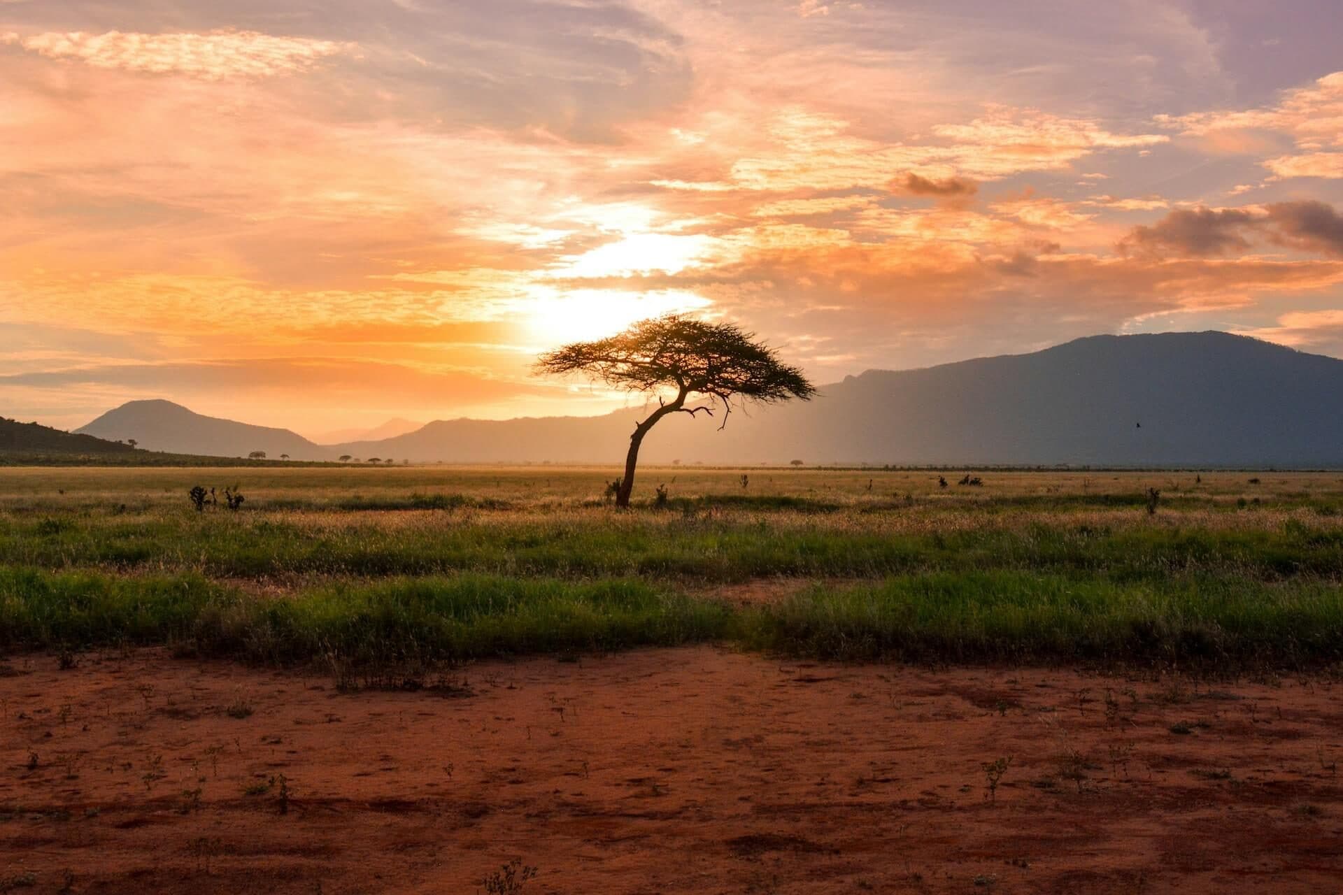 Coucher de soleil sur la savane